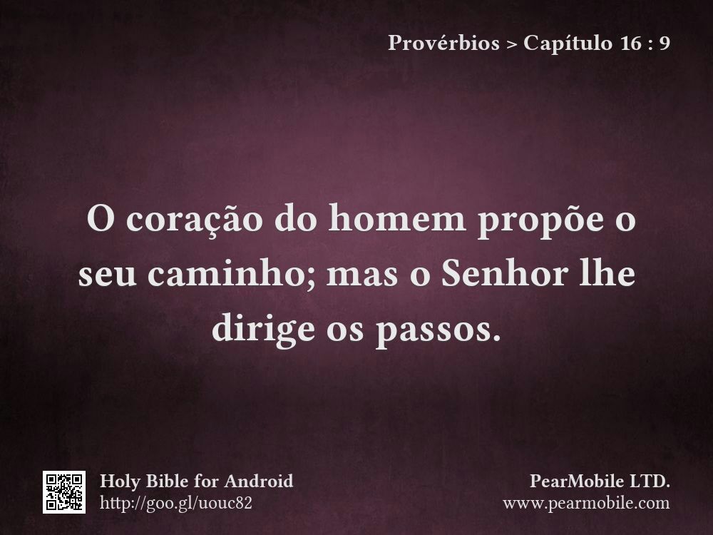 Provérbios, Capítulo 16:9
